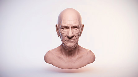 Head Sculpt